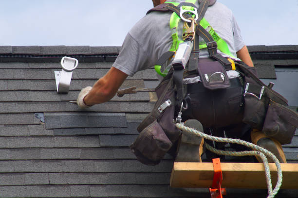 Best Storm Damage Roof Repair  in Apopka, FL