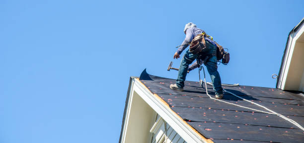 Best Commercial Roofing Services  in Apopka, FL